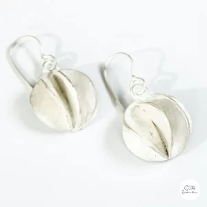 Orecchini in argento 00